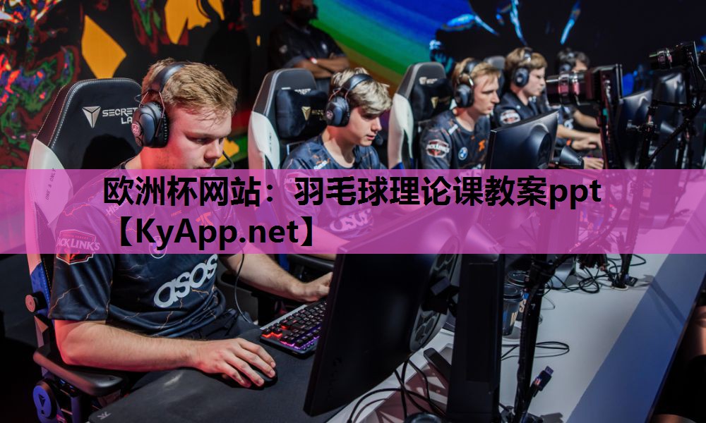 欧洲杯网站：羽毛球理论课教案ppt
