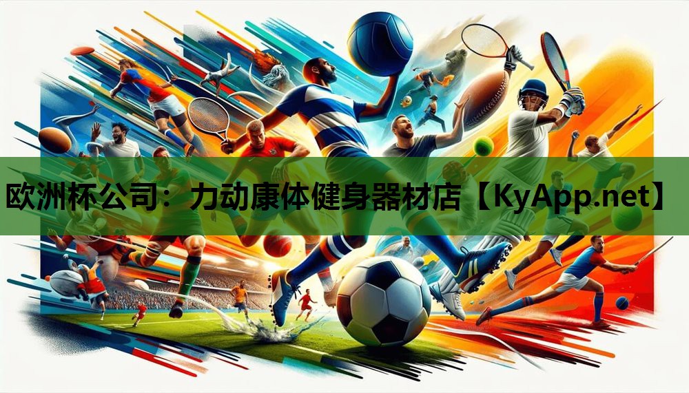 欧洲杯公司：力动康体健身器材店
