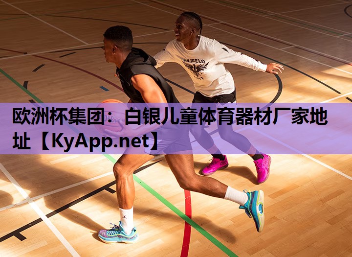 欧洲杯集团：白银儿童体育器材厂家地址