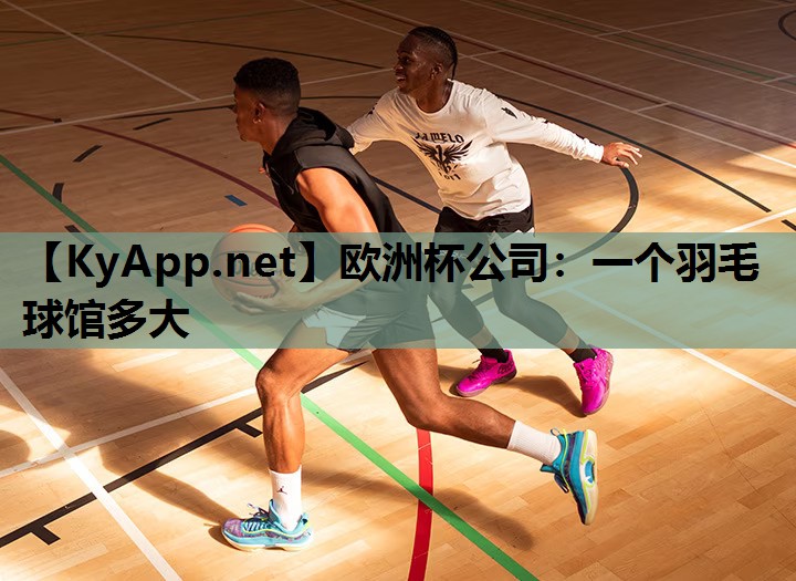 欧洲杯公司：一个羽毛球馆多大