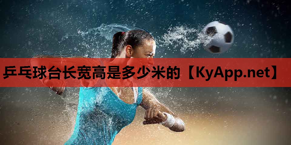 乒乓球台长宽高是多少米的