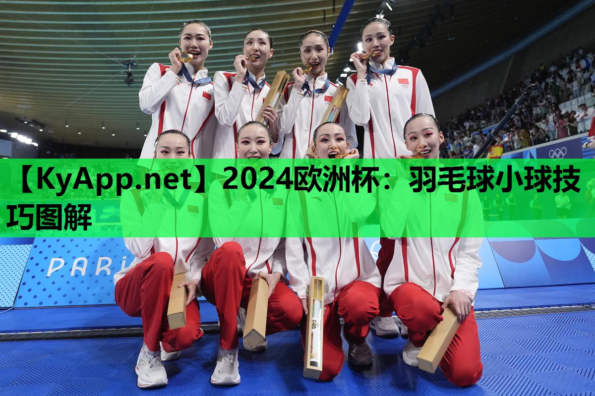 2024欧洲杯：羽毛球小球技巧图解