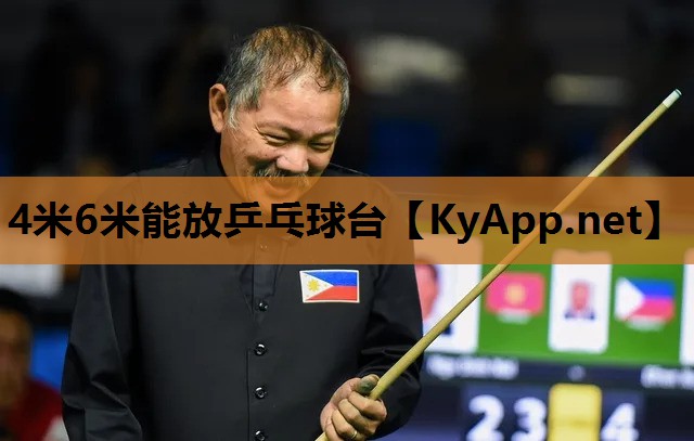 4米6米能放乒乓球台