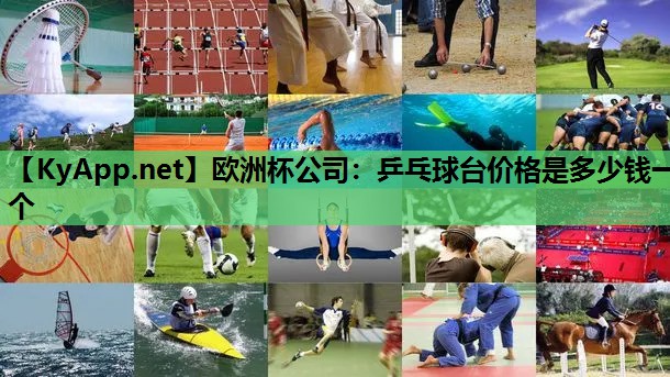 欧洲杯公司：乒乓球台价格是多少钱一个