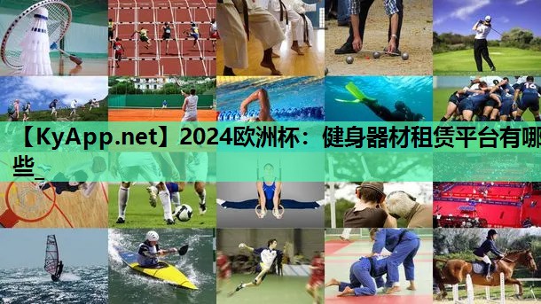 2024欧洲杯：健身器材租赁平台有哪些_
