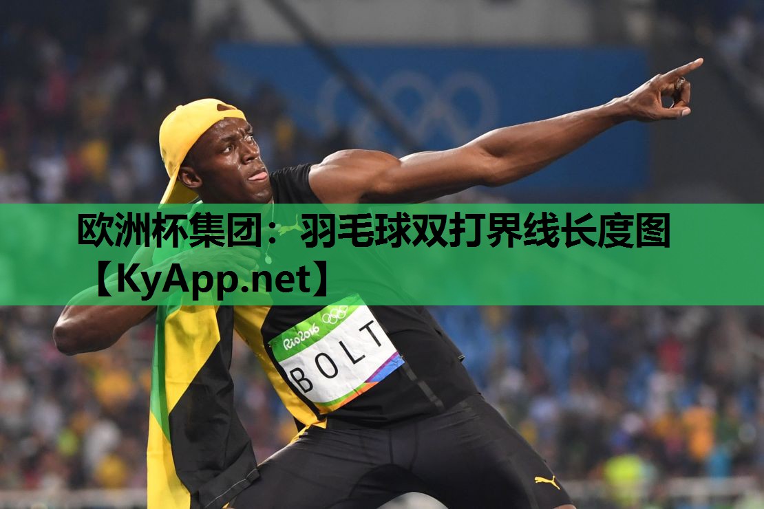 欧洲杯集团：羽毛球双打界线长度图