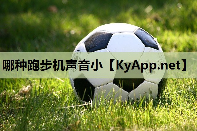哪种跑步机声音小