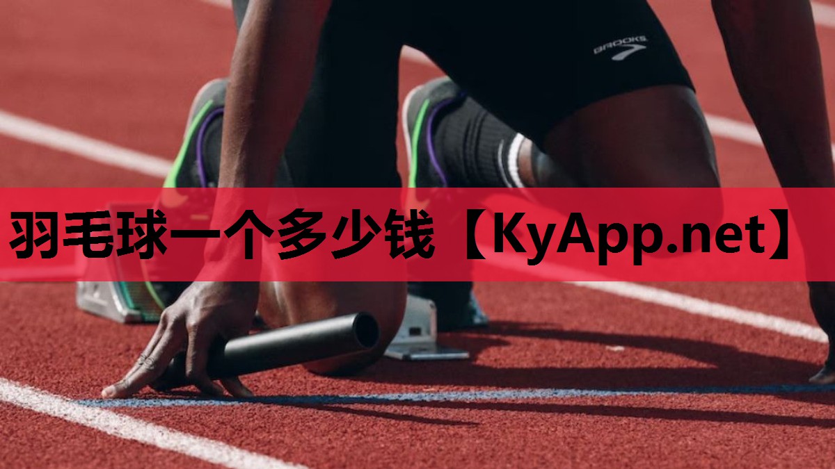 羽毛球一个多少钱