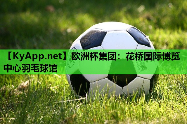 欧洲杯集团：花桥国际博览中心羽毛球馆