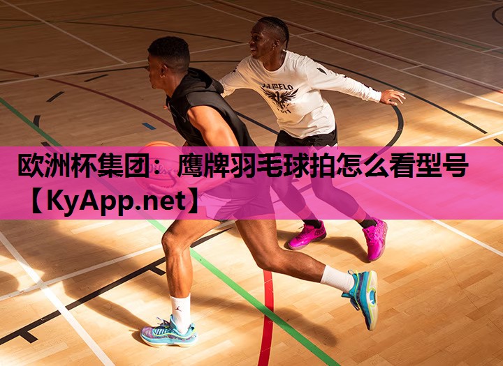 欧洲杯集团：鹰牌羽毛球拍怎么看型号