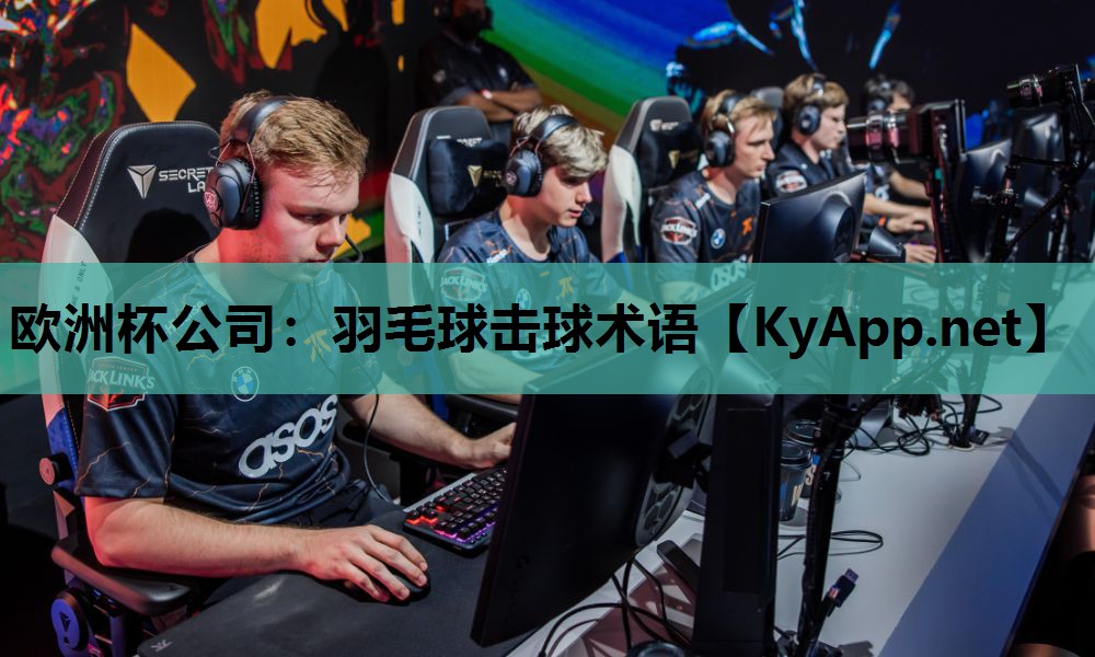 欧洲杯公司：羽毛球击球术语
