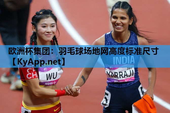 欧洲杯集团：羽毛球场地网高度标准尺寸