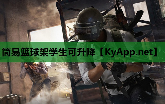 简易篮球架学生可升降