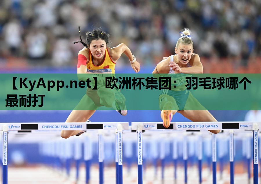 欧洲杯集团：羽毛球哪个最耐打