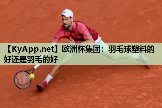 欧洲杯集团：羽毛球塑料的好还是羽毛的好