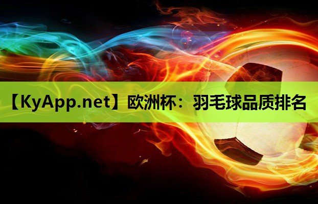 欧洲杯：羽毛球品质排名