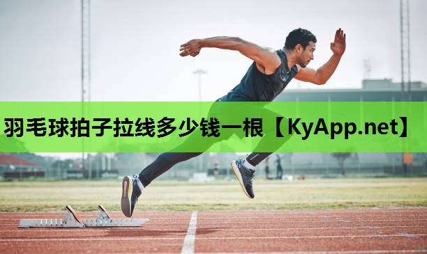 羽毛球拍子拉线多少钱一根