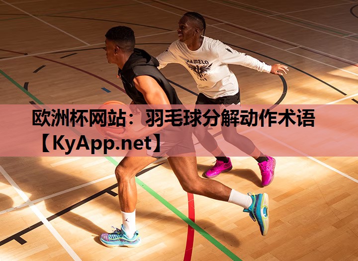 羽毛球分解动作术语 羽毛球分解动作术语