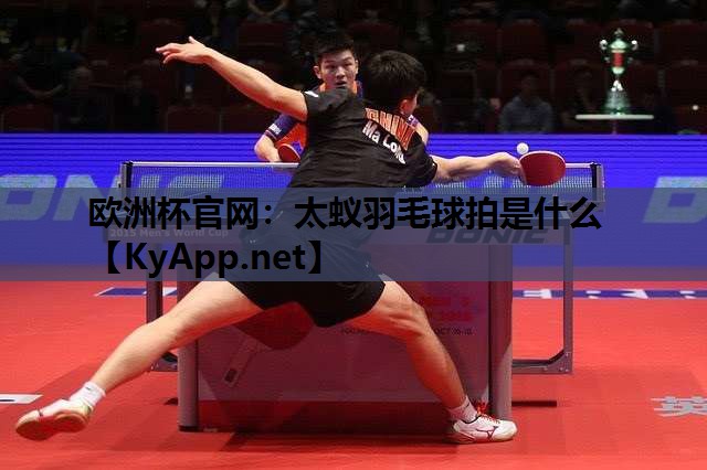 太蚁羽毛球拍是什么 太蚁羽毛球拍是什么