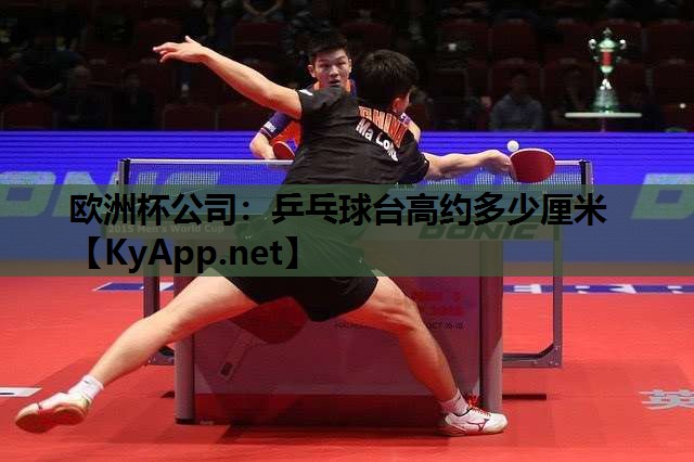 乒乓球台高约多少厘米 乒乓球台高约多少厘米