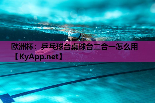 乒乓球台桌球台二合一怎么用 乒乓球台桌球台二合一怎么用