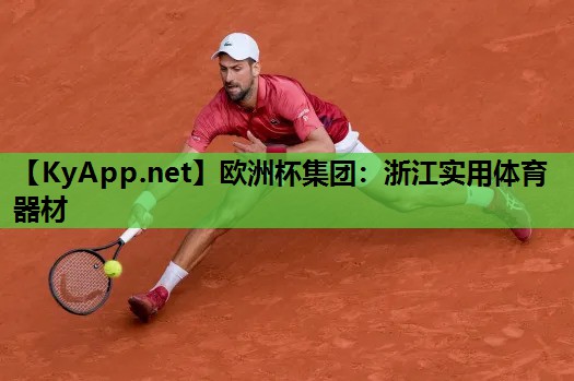 浙江实用体育器材 浙江实用体育器材