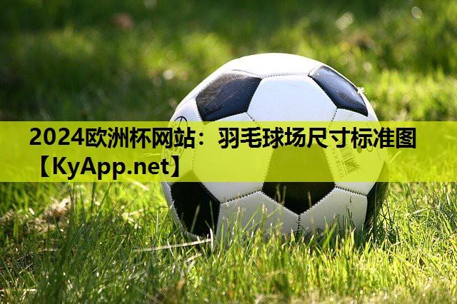 羽毛球场尺寸标准图 羽毛球场尺寸标准图