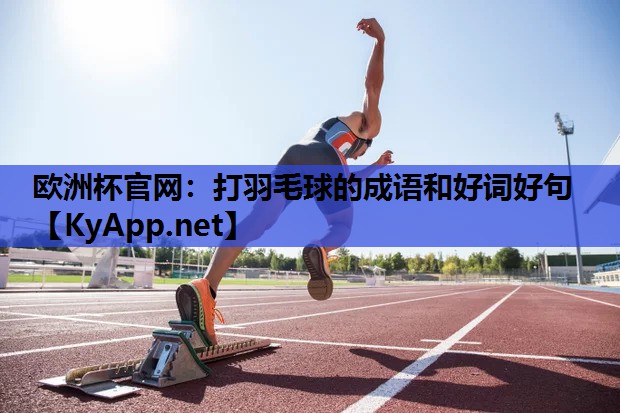 打羽毛球的成语和好词好句 打羽毛球的成语和好词好句