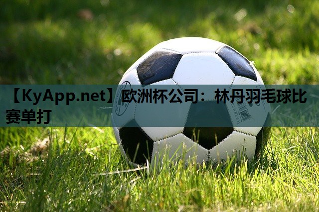 林丹羽毛球比赛单打 林丹羽毛球比赛单打