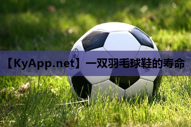 一双羽毛球鞋的寿命 一双羽毛球鞋的寿命