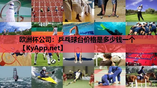 乒乓球台价格是多少钱一个 乒乓球台价格是多少钱一个