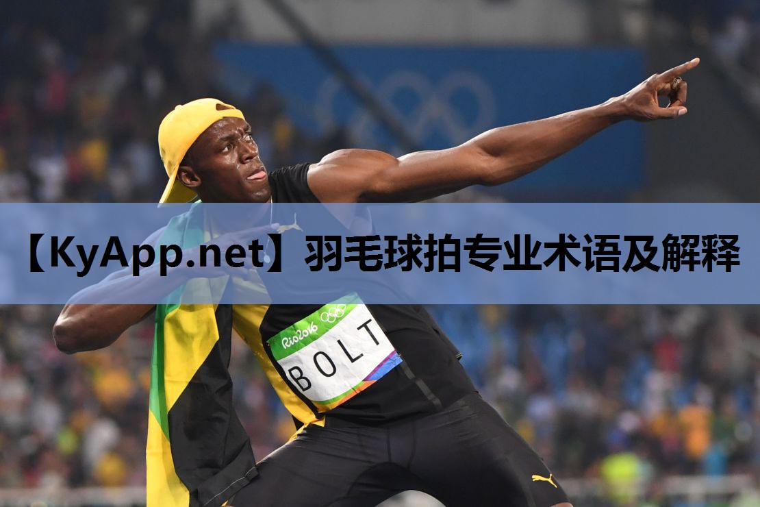 羽毛球拍专业术语及解释 羽毛球拍专业术语及解释