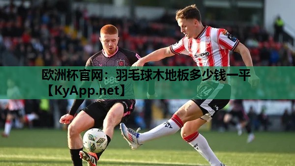 羽毛球木地板多少钱一平 羽毛球木地板多少钱一平