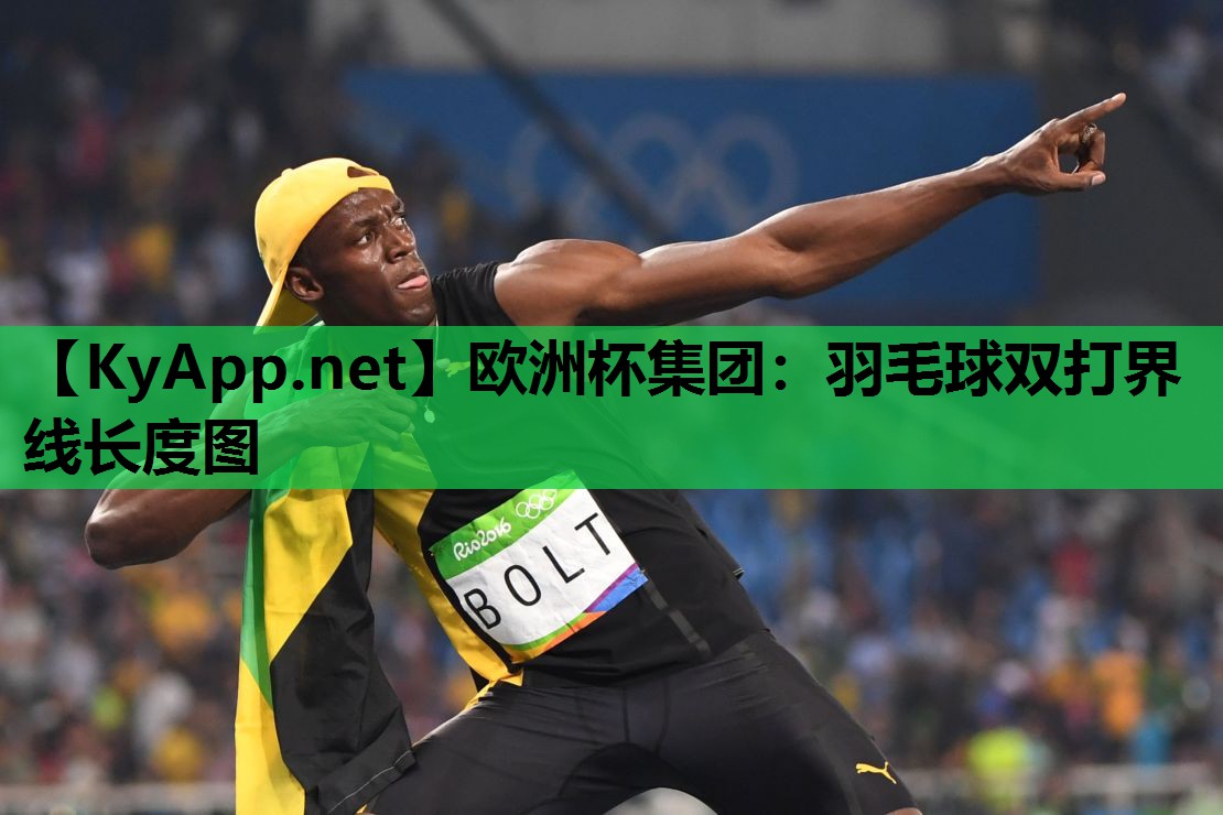 羽毛球双打界线长度图 羽毛球双打界线长度图