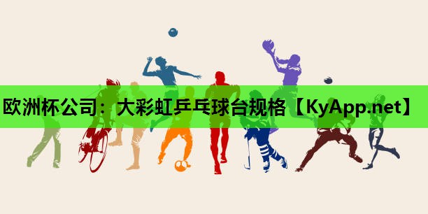 大彩虹乒乓球台规格 大彩虹乒乓球台规格