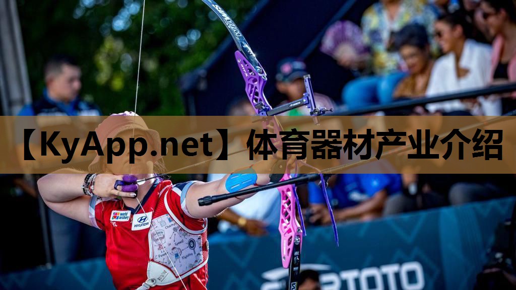 体育器材产业介绍 体育器材产业介绍