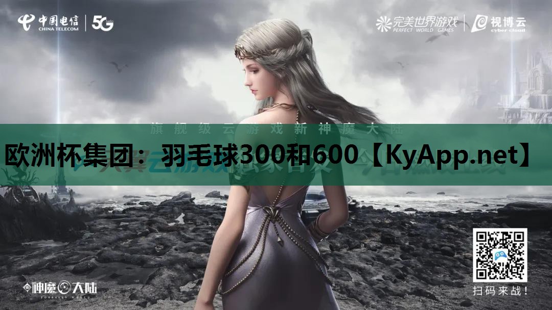 羽毛球300和600 羽毛球300和600