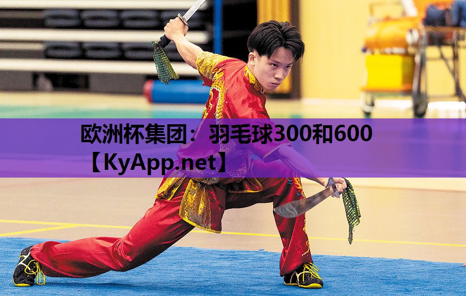 羽毛球300和600 羽毛球300和600