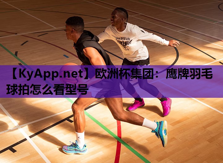 鹰牌羽毛球拍怎么看型号 鹰牌羽毛球拍怎么看型号