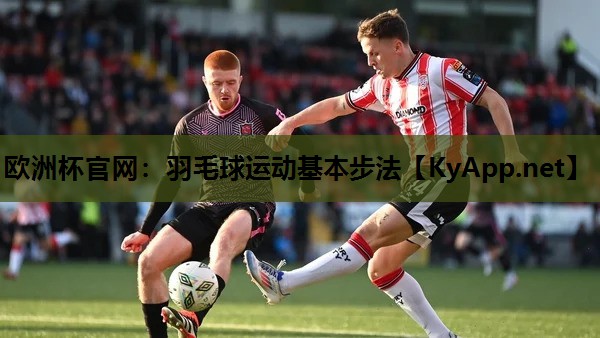 羽毛球运动基本步法 羽毛球运动基本步法