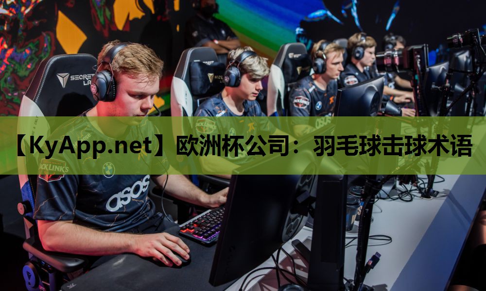 羽毛球击球术语 羽毛球击球术语