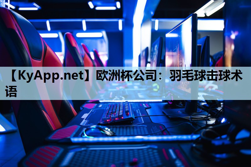 羽毛球击球术语 羽毛球击球术语