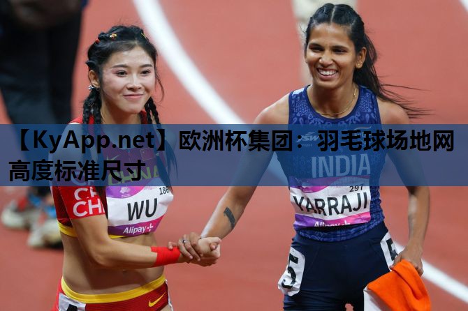 羽毛球场地网高度标准尺寸 羽毛球场地网高度标准尺寸