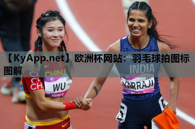 羽毛球拍图标图解 羽毛球拍图标图解