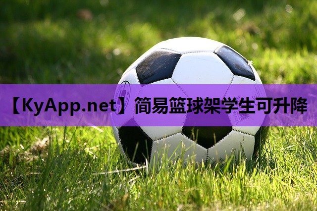 简易篮球架学生可升降 简易篮球架学生可升降
