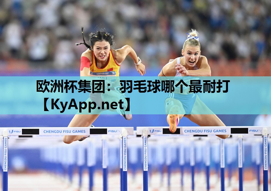 羽毛球哪个最耐打 羽毛球哪个最耐打