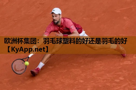 羽毛球塑料的好还是羽毛的好 羽毛球塑料的好还是羽毛的好
