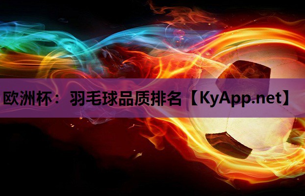 羽毛球品质排名 羽毛球品质排名